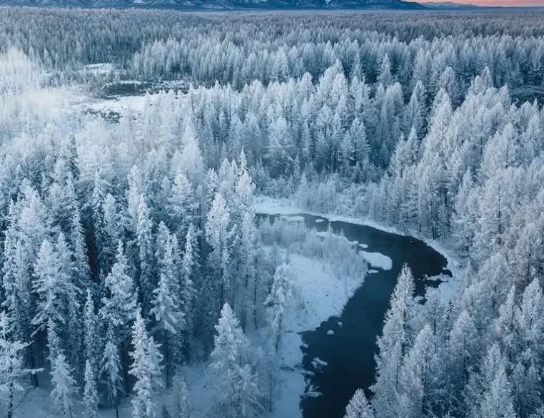 Frosted forest and river