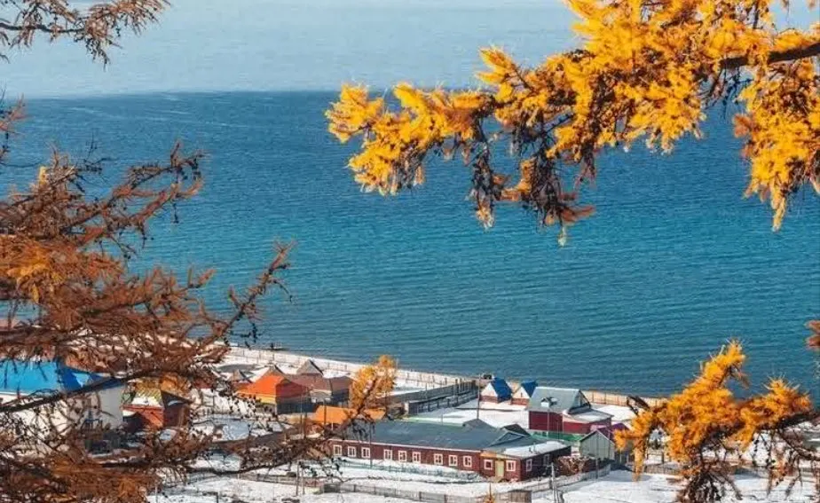 Golden larch over Khuvsgul Lake
